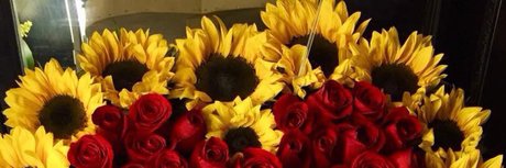 Goldenhoney model best image