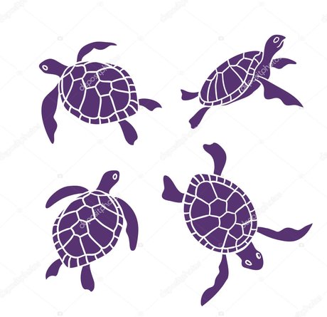 Riley Redding pornstar nice pic