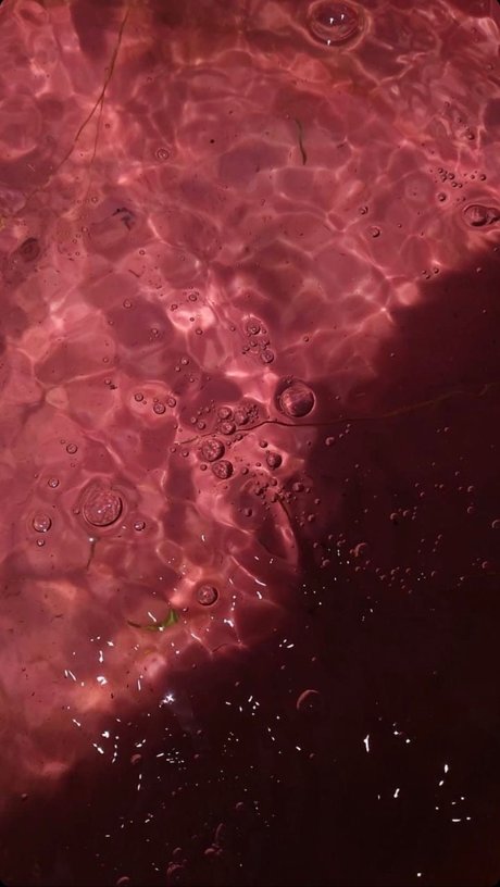 deepthroat pov onlyfans art porn pictures