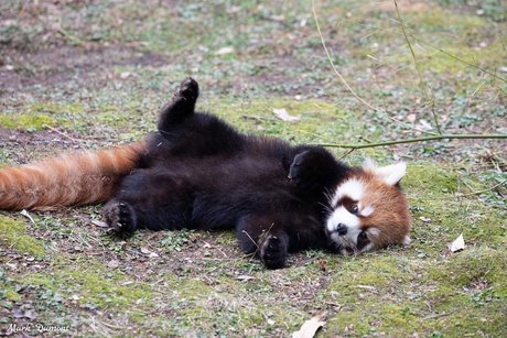 worthlessholes model best images