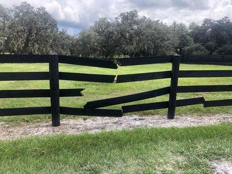 indian teen onlyfans nudes pictures