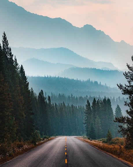 dave perfect actress photos