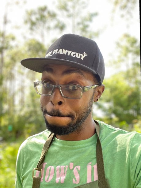 The plantguy top star archive