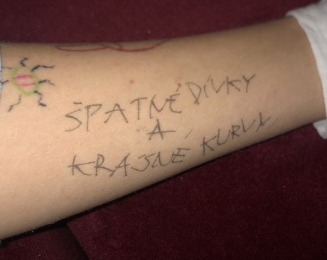 hanus hd pornstar archive