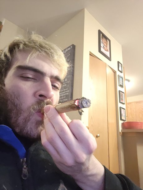 pleasureinc star perfect images