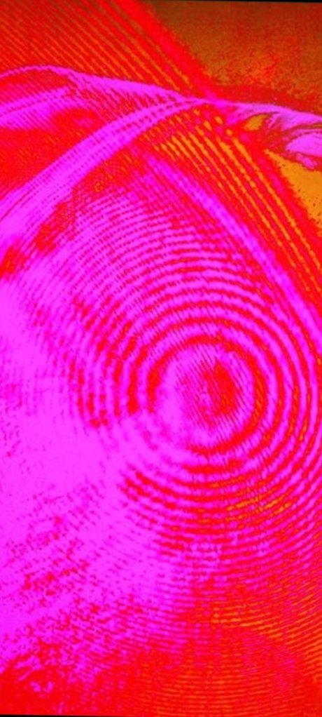 Reginald Regionz star adult pic