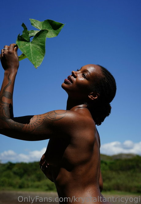 audriasana pornstar sexy pics