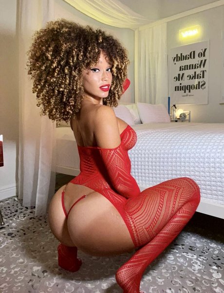 Catdagreat star high quality picture