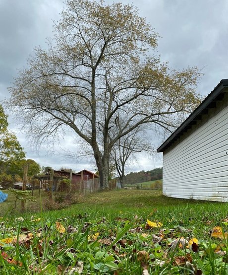 Fierceified pornstar free pictures