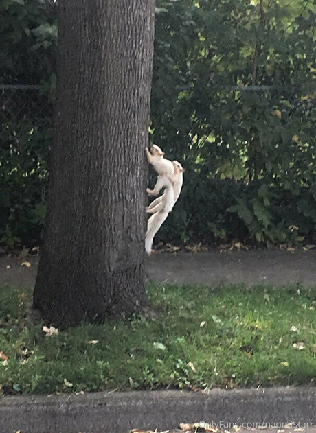 sensual onlyfans art nude archive