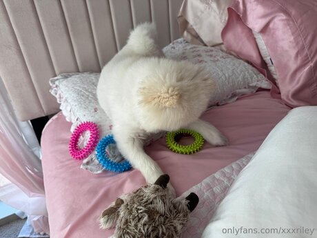 gay ginger onlyfans art xxx pictures