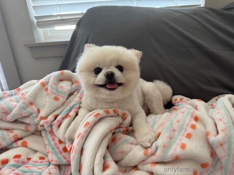 busty redhead onlyfans art xxx photos