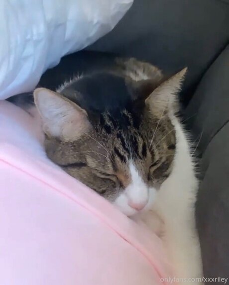 chubby nerd onlyfans hot sex image