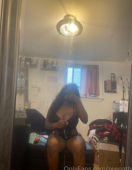 zeenath art actress photos