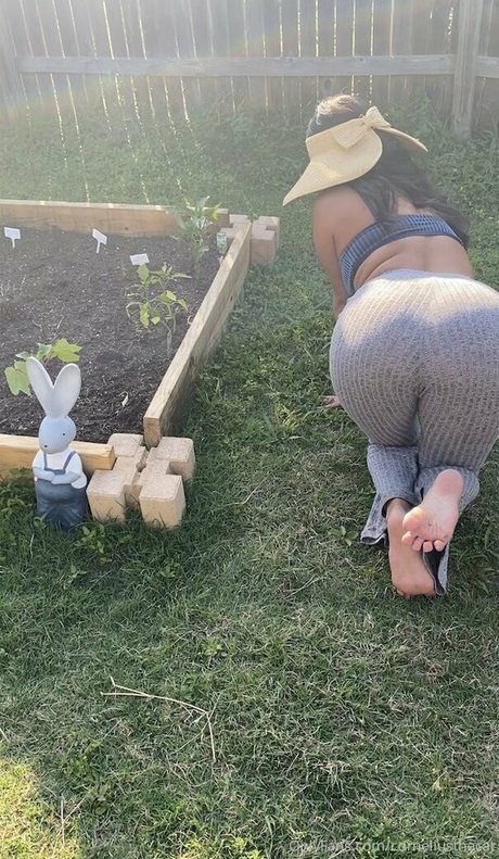 wedgie onlyfans free xxx img