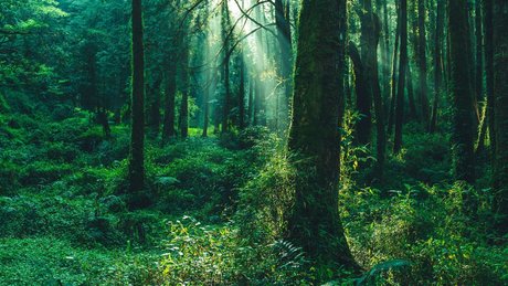 asmr free onlyfans art porn image