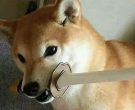 Diddy pup sexy actress archive