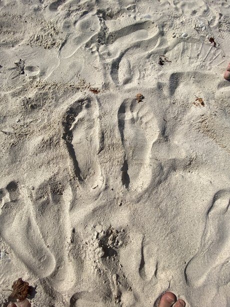 Super Feet model exclusive image