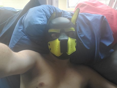 Pup squishy porn actress image