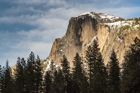 shine star nice galleries