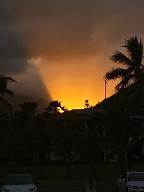 Top Vibes_ hot model galleries