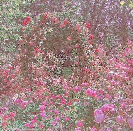 natural ass onlyfans hot porn archive