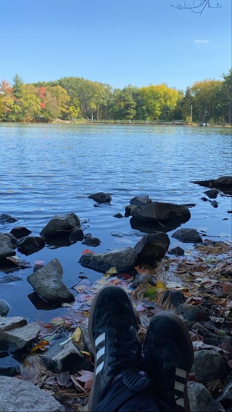 Ava Monroe star perfect image