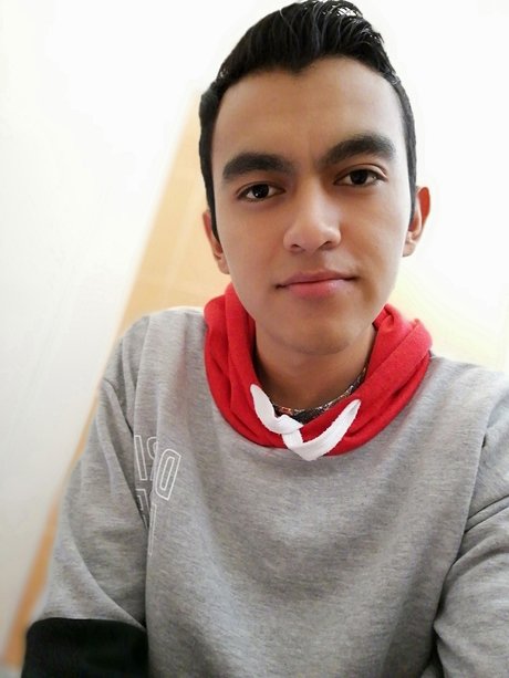 Carlos Daniel S nchez Estrada erotic actress images