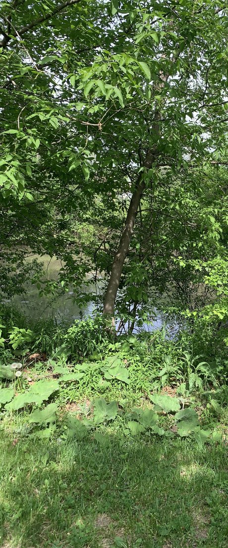 Wont best model galleries