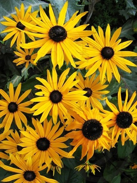 pregnant princess onlyfans hot naked pics