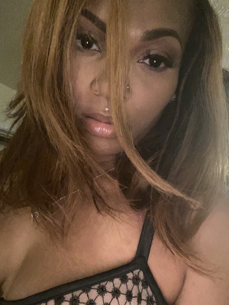 Xxquisitetaste xxx pornstar images