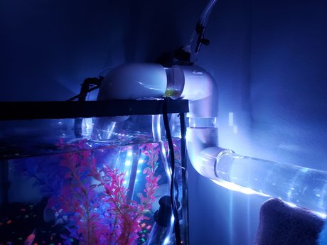 OnlyFishFans nice model archive