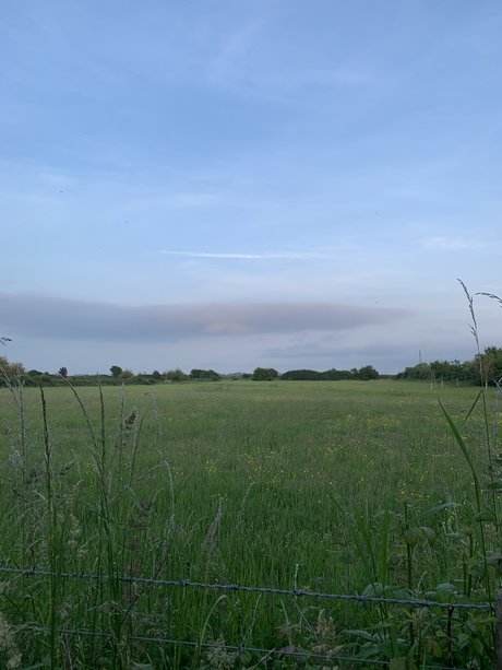 beautiful asian onlyfans art porn image