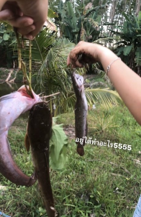 Cppxnd xxx star photos