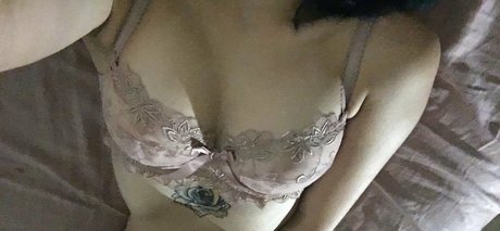 Caminator the Animator top pornstar galleries