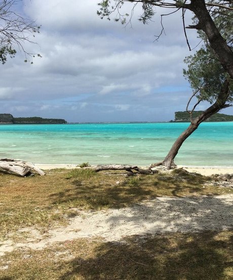 Adele tsy model adult photos