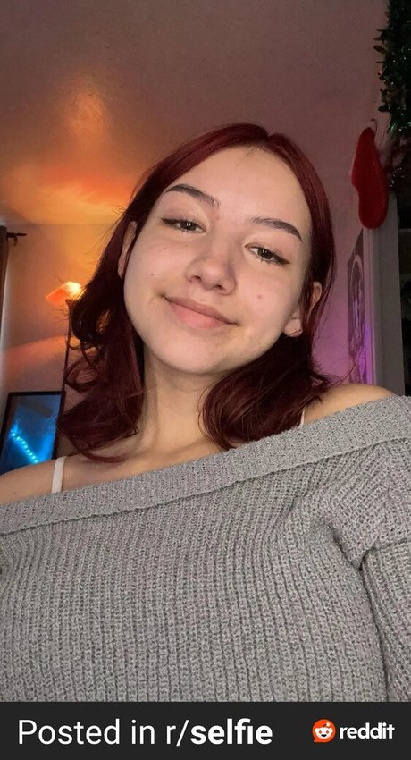 Spoilkat art star galleries