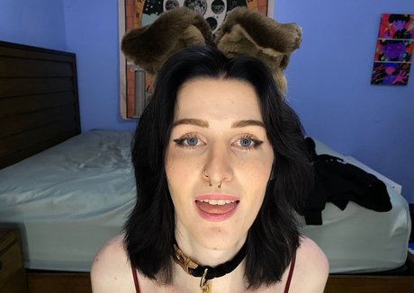 AnnieDro star top gallery