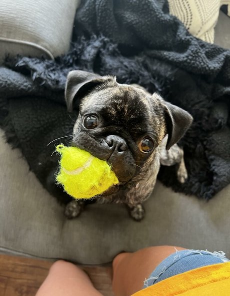 maddyspremium pornstar perfect image