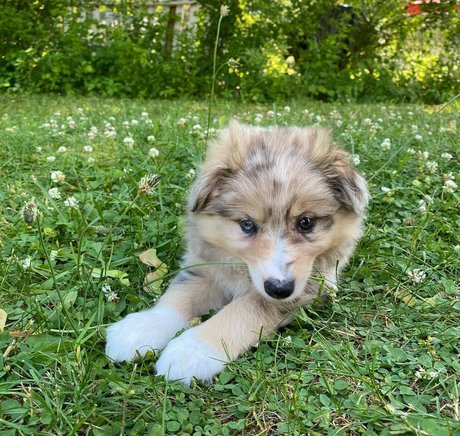 Nicole A Foster xxx model gallery