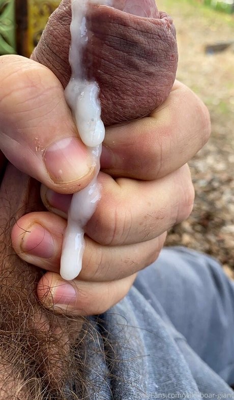 wild boar giant sexy pornstar pic