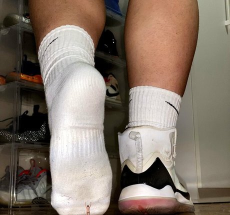 wild boar giant pretty star gallery