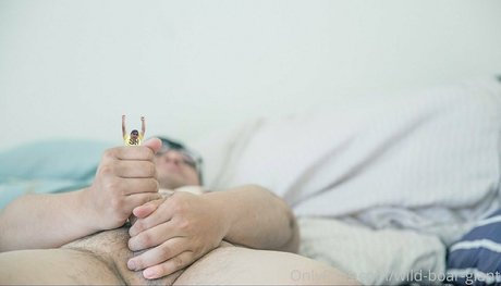 wild boar giant pretty model images