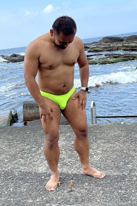 wild boar giant star hot galleries