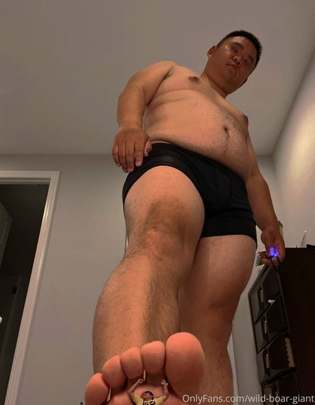 wild boar giant star nudes photos