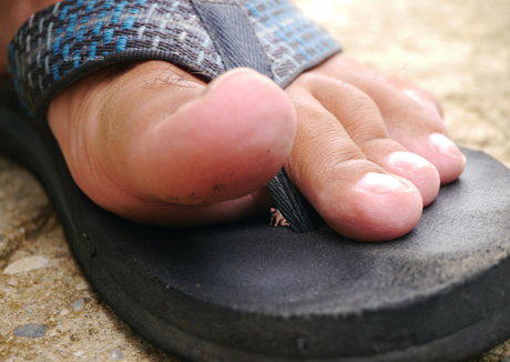 wild boar giant pretty actress photos