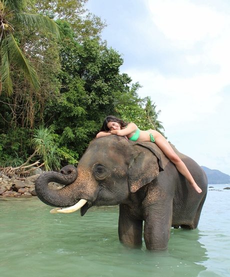 wedgie onlyfans adult image