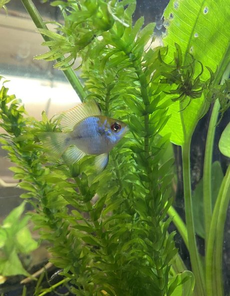 mature fake tits onlyfans beautiful nude archive