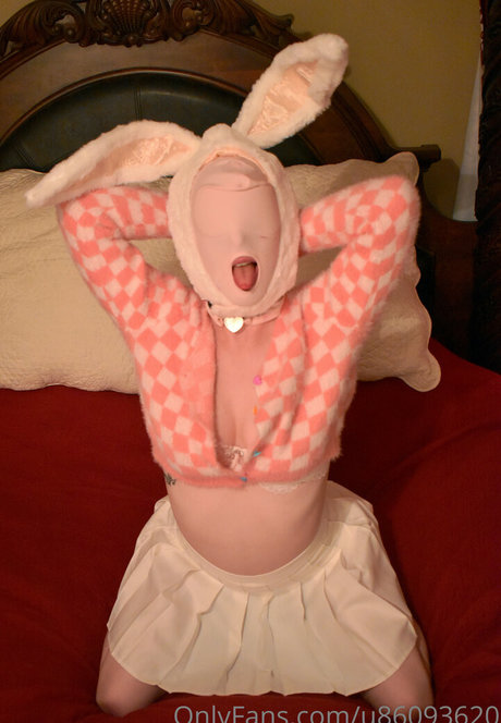 abbierosery star high quality gallery