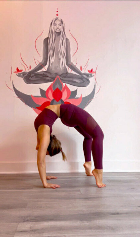 journeywithalora nice star pics